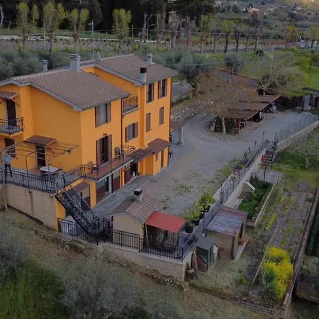 Antica Volsinii Bolsena